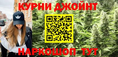 PSILOCYBIN Кулебаки