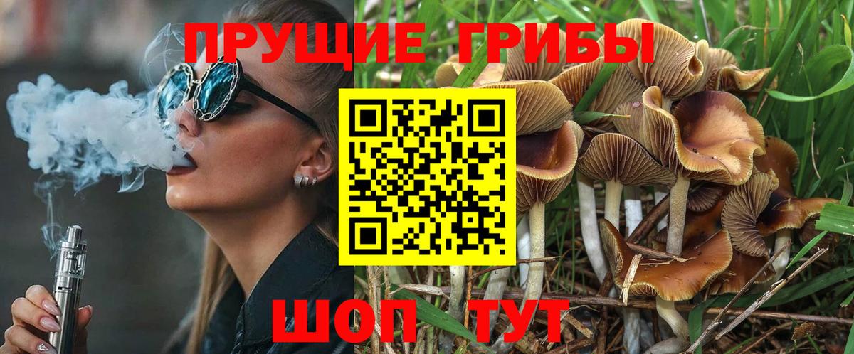 Галлюциногенные грибы GOLDEN TEACHER  Вход с VPN  Заволжье 